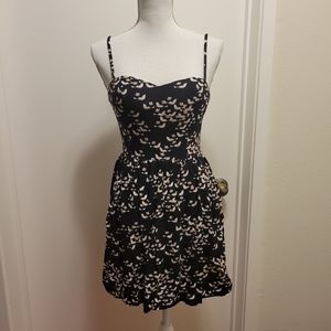 Charlotte Russe Medium Black Dress Birds Floral